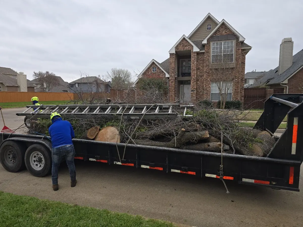 Expert Tree Fertilization with proper safety equipment in Reedsville